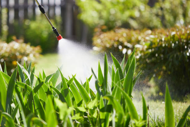 24/7 Emergency Fumigation Services experts in Newberry, MI